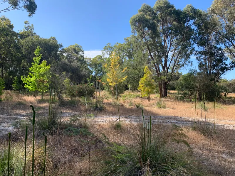 LIFESTYLE and LOCATION!