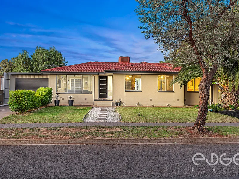 Family Entertainer Ready for Fun!