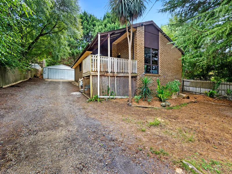 Potential and opportunity.