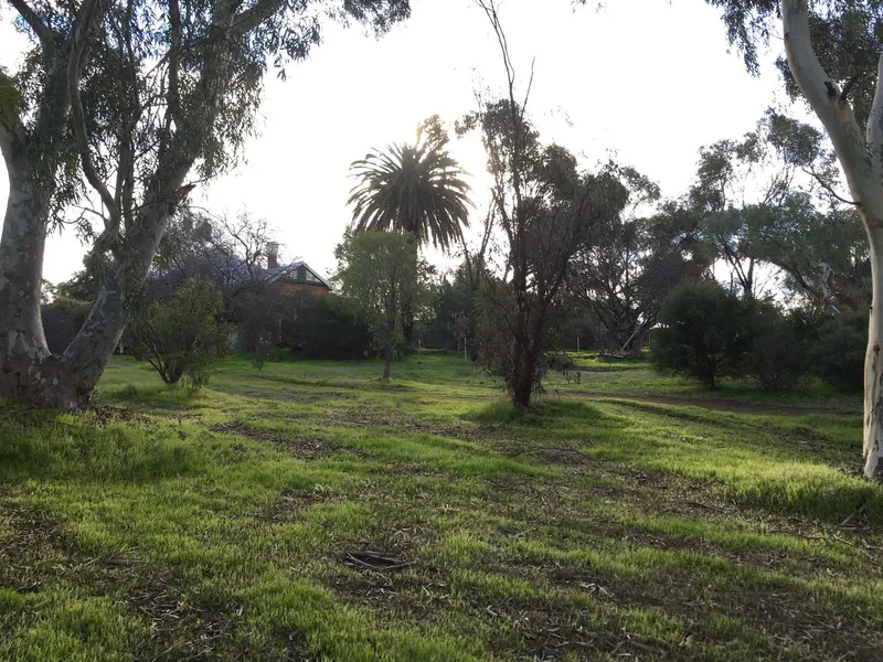 Lifestyle Block in Beautiful York