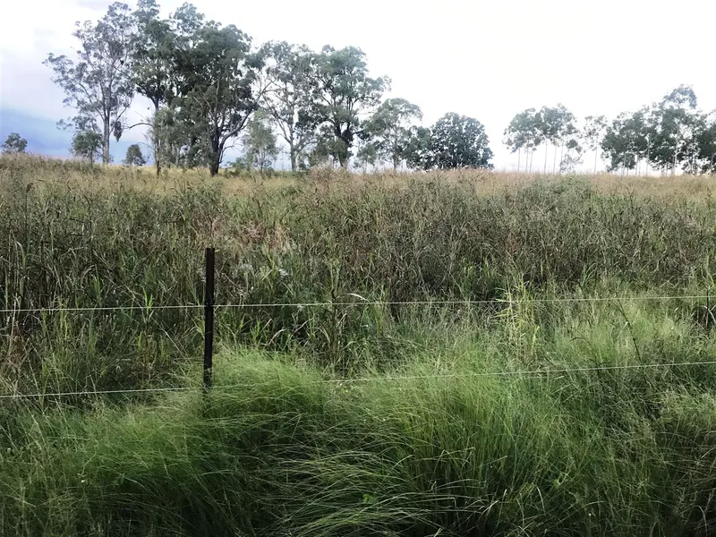 Rural Block: Grazing & Trees