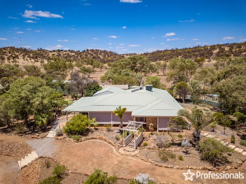 Escape to the Country