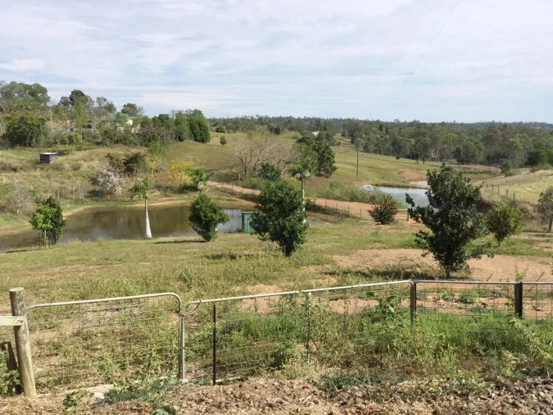 5 Acre property including Home and furniture.