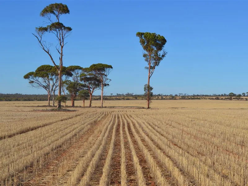 'Offers to Purchase Open Now'