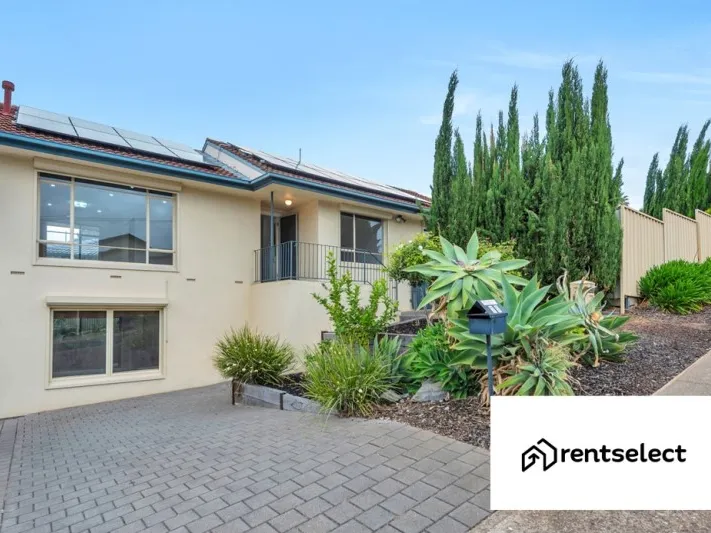 Small Pet Neg PLUS Solar Panels!