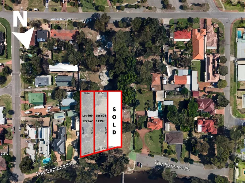 Life on The Esplanade