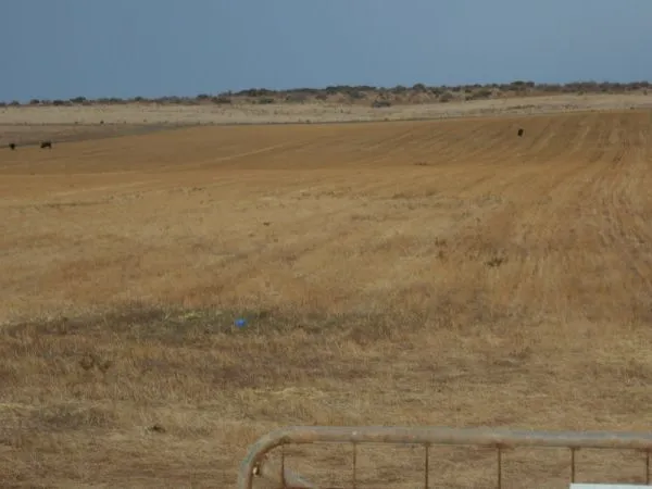 CHEAPEST ACREAGE IN MIDWEST!