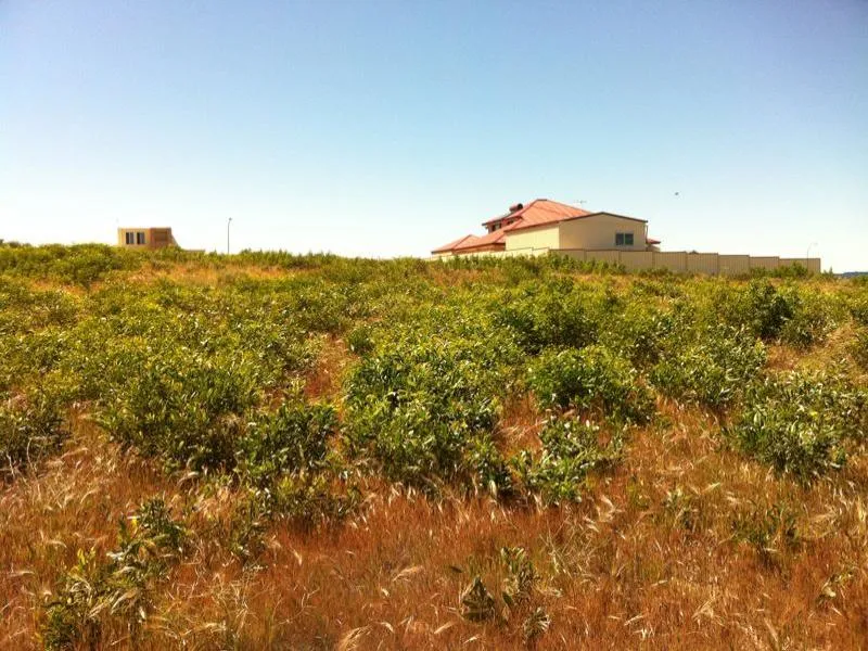 PRICE REDUCED SO MAKE YOUR MOVE