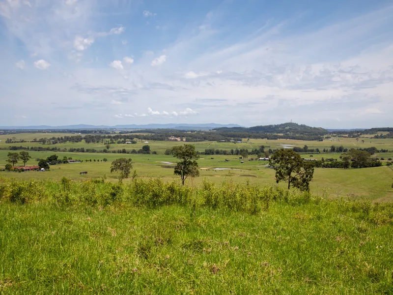 100 ACRES - VIEWS FOREVER