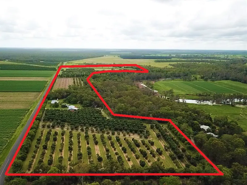39 ACRE PRODUCING AVOCADO ORCHARD WITH EVERYTHING YOU NEED INCLUDING CROP