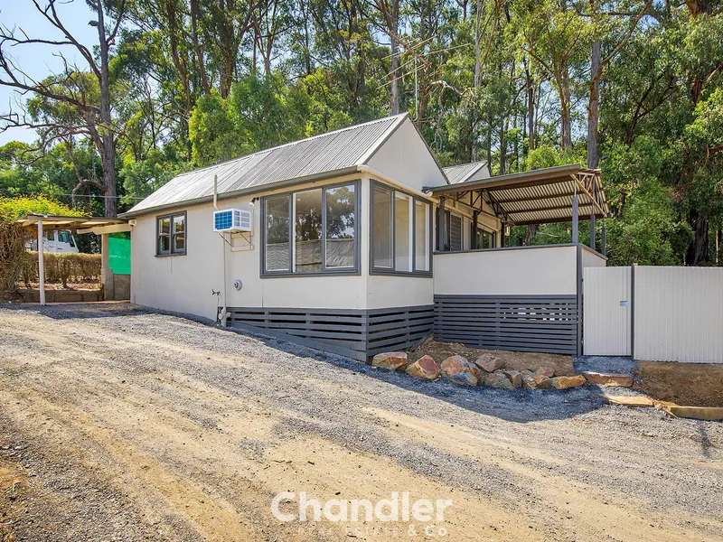 A Rose between the Thorns