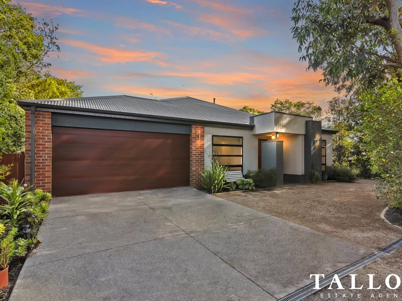 Family Entertainer in Quiet Street