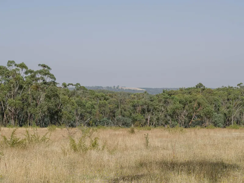 A Unique History Filled Acreage On The Outskirts of Daylesford