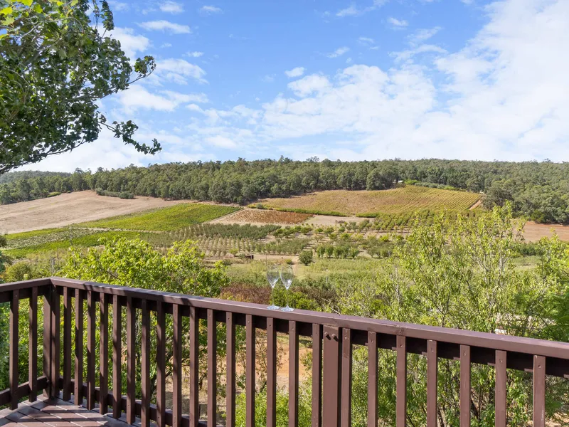 Vistas and Vino in the Valley !