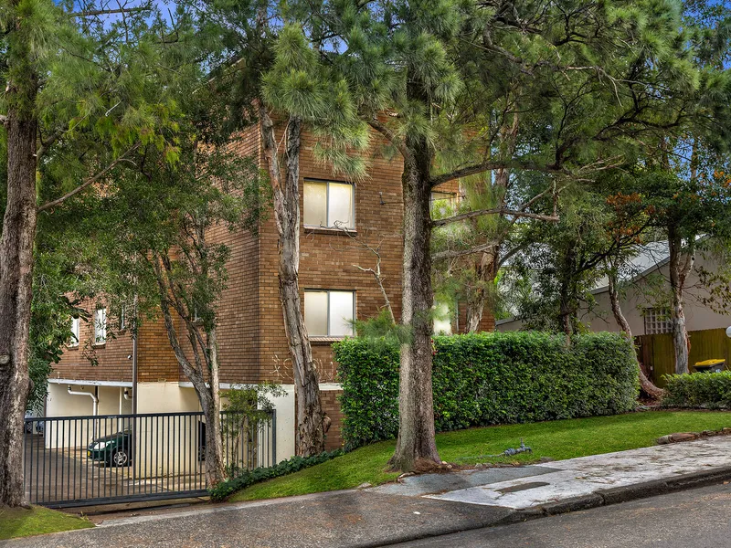 A leafy tree-top haven with fresh and bright interiors