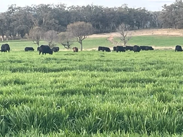 Opportunities That Offer Location, Productivity.