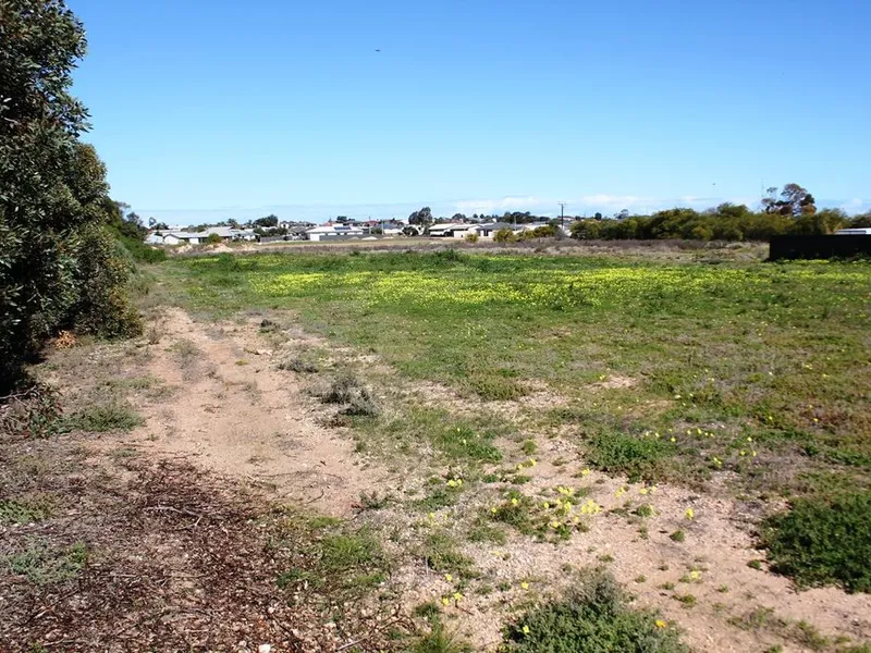 All Offers Considered - Large Allotment