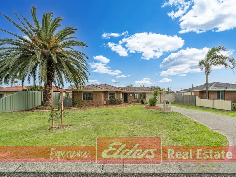 SOLAR PANELS, WORKSHOP AND MORE!