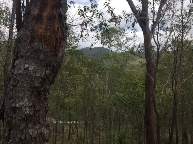 Live the Mountain Life