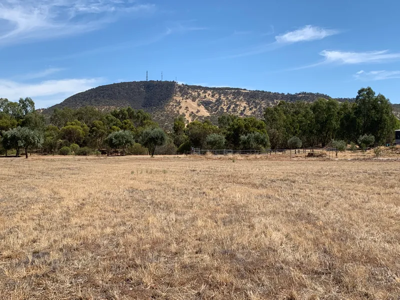 1 1/4 acre Dream block with great views