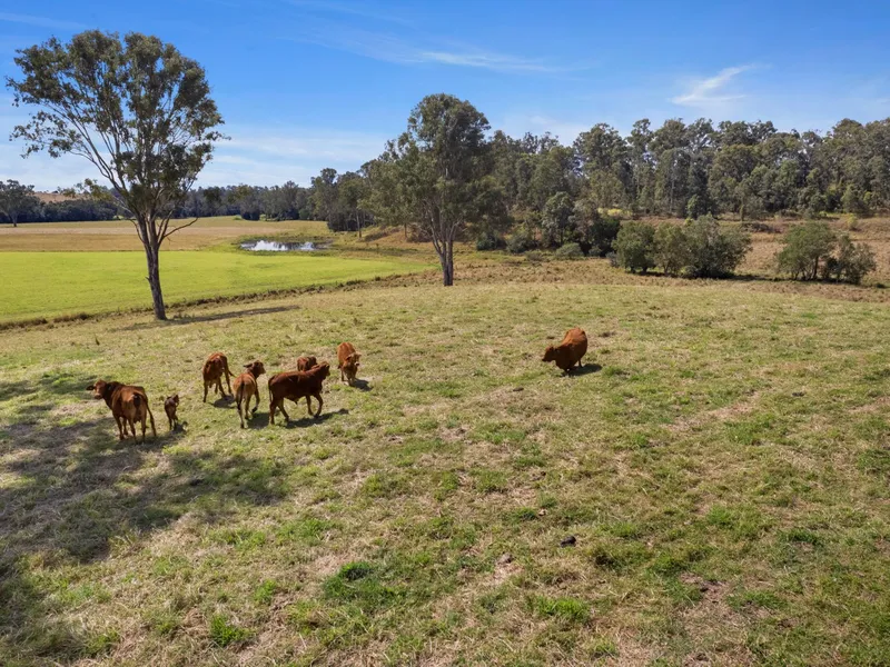 Idyllic 175 Acres + Home, Water and Dual Access