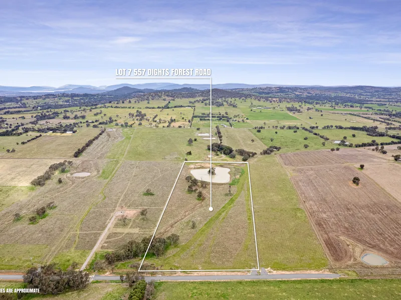 Abundance of Potential