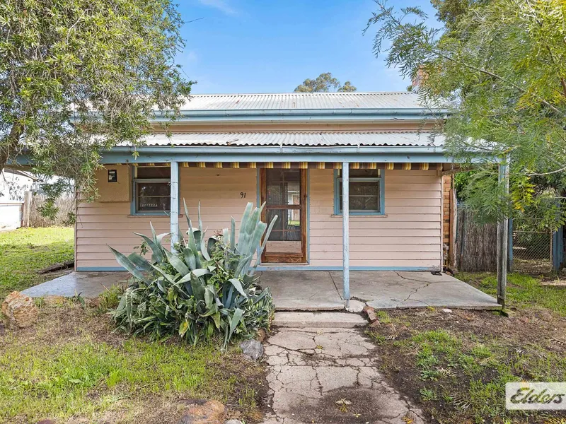 Miner's Cottage on 1/4 Acre