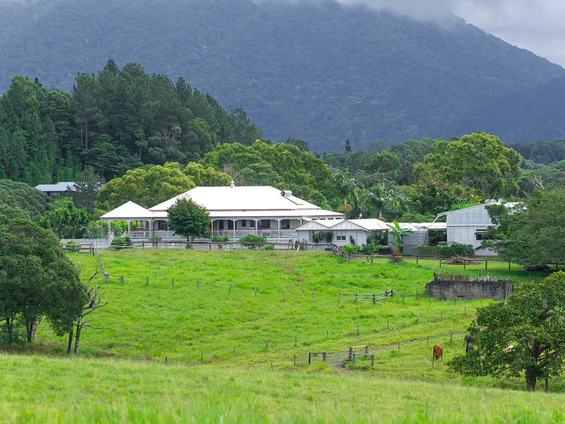 Kuramar