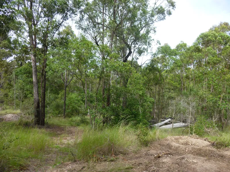 FACE TO FACE WITH NATURE