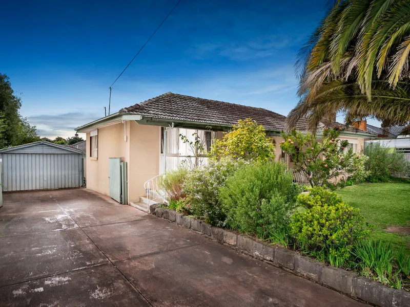 ORIGINAL CHARACTER, FUTURE SCOPE