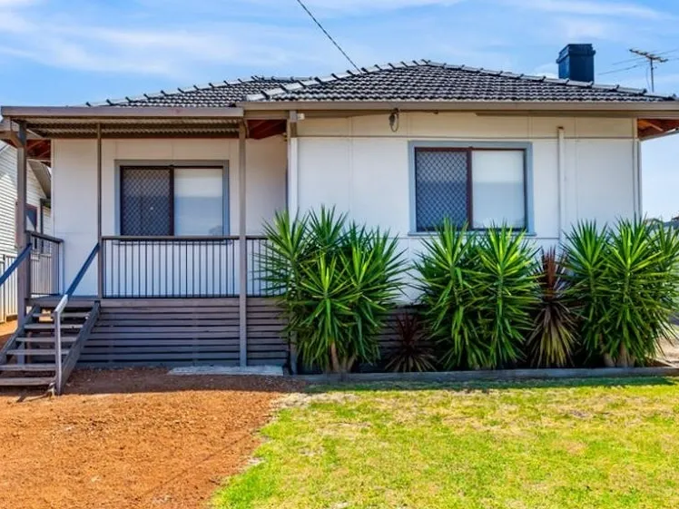 A Collie Gem – BREAK LEASE