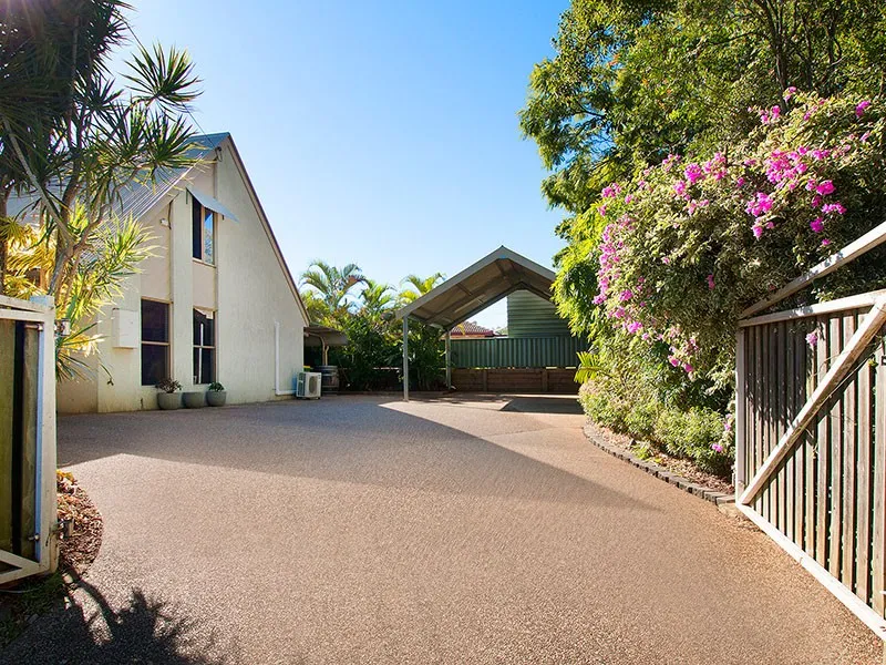 Will Not Find Any Better!