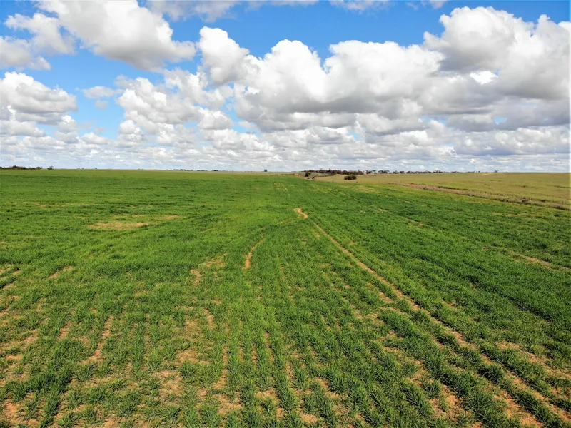 Carwarp Broadacre Cropping & Farming Enterprise