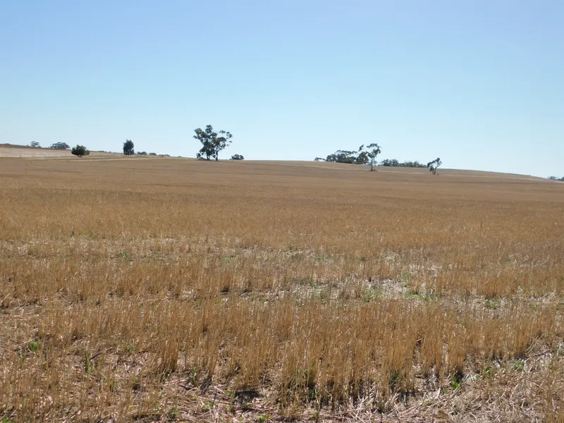 Acres, Income only Minutes From Town