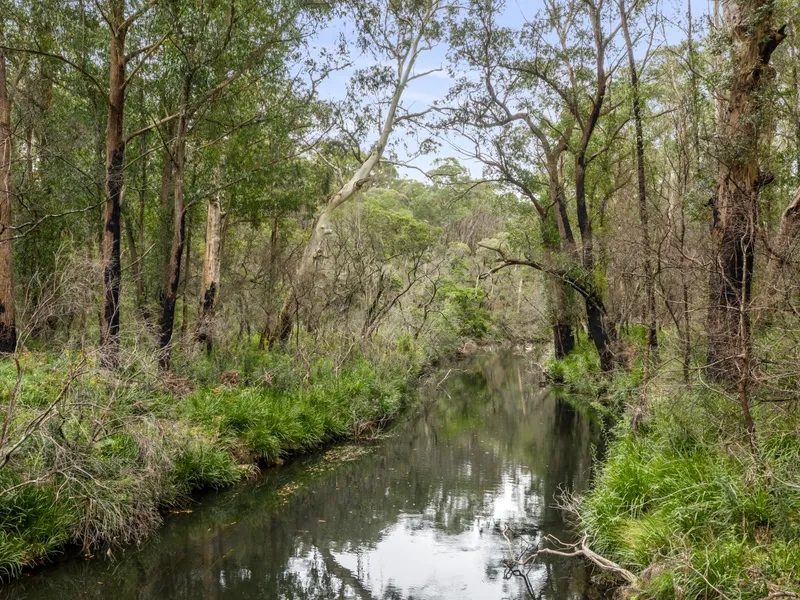 4161 Kings Highway Monga