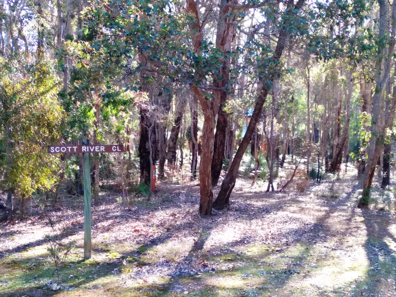 Back to Nature!
