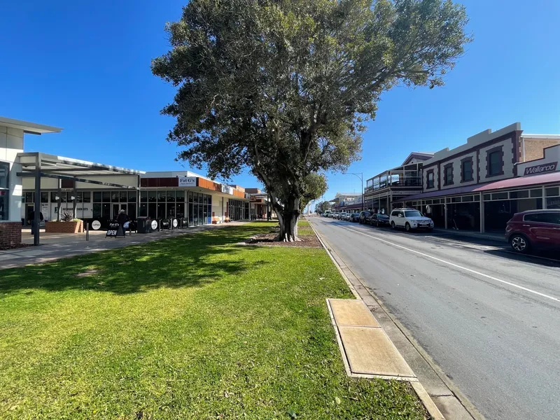 Great Opportunity with Unlimited Potential (STCC)