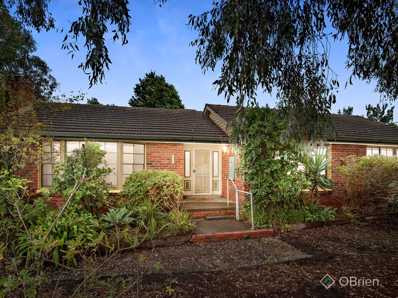 Comfortable living with untapped potential