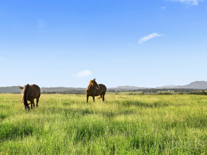 HUNTER VALLEY EQUINE