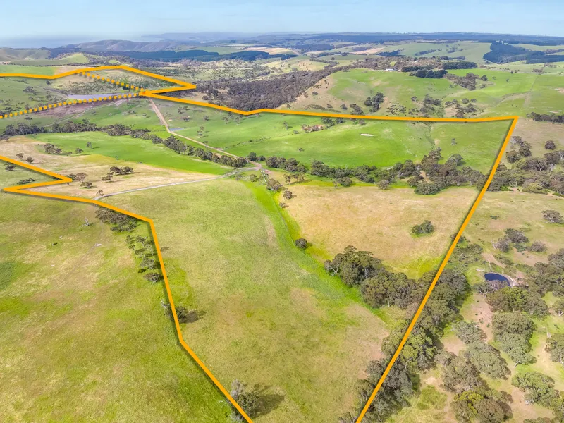 'Blinkbonnie Dairy' - Diversify or invest in 3 titles of 325 remote, versatile & highly productive acres.
