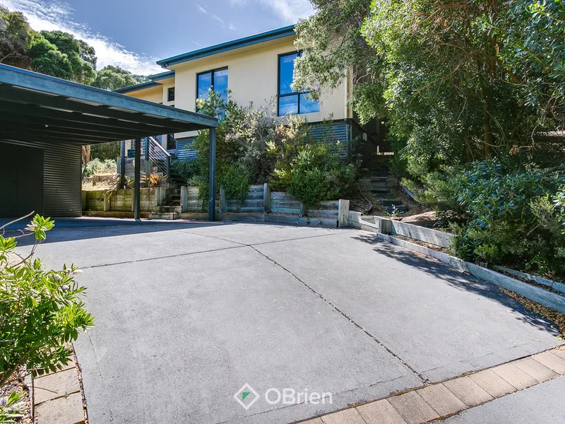 Full of Natural Light - Open Plan