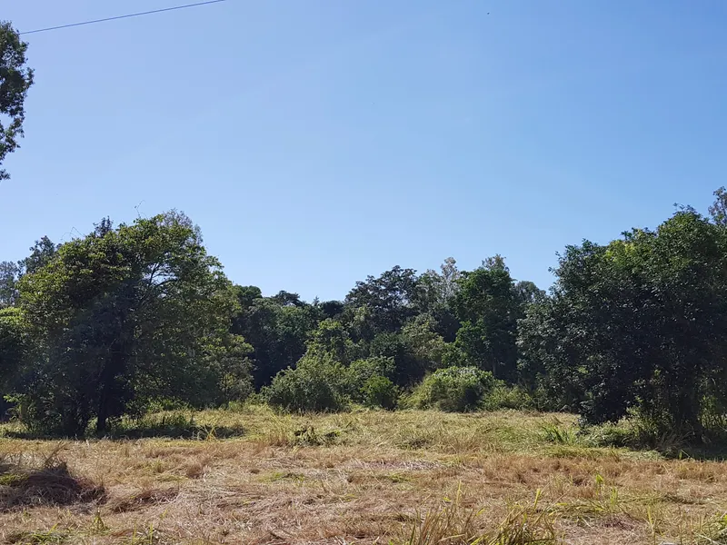Rural acreage, just five minutes north of Cardwell