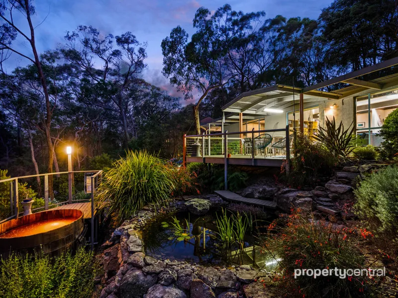 'Mountain Mist Escape'