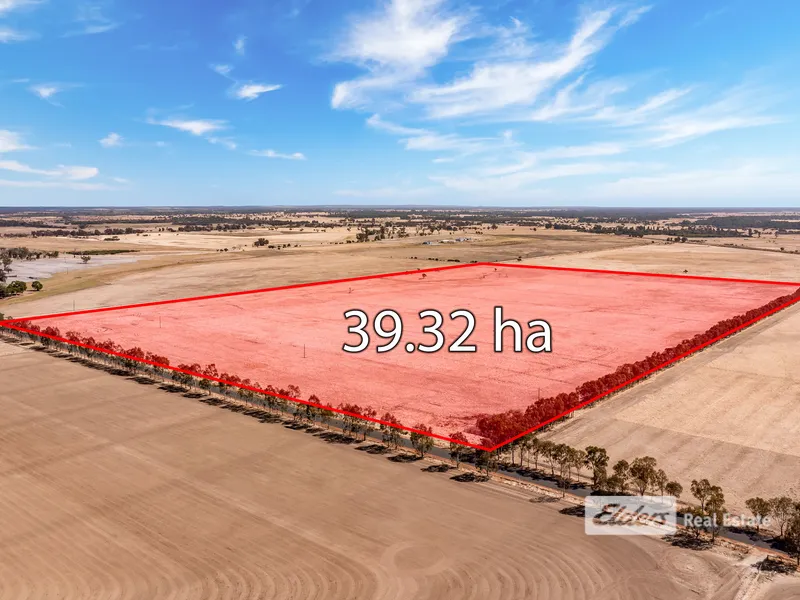 Premium Grazing Land (Two Lots Sold Together)