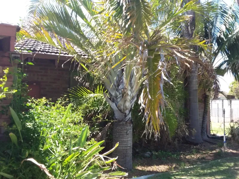 12 Cook Street Jurien Bay