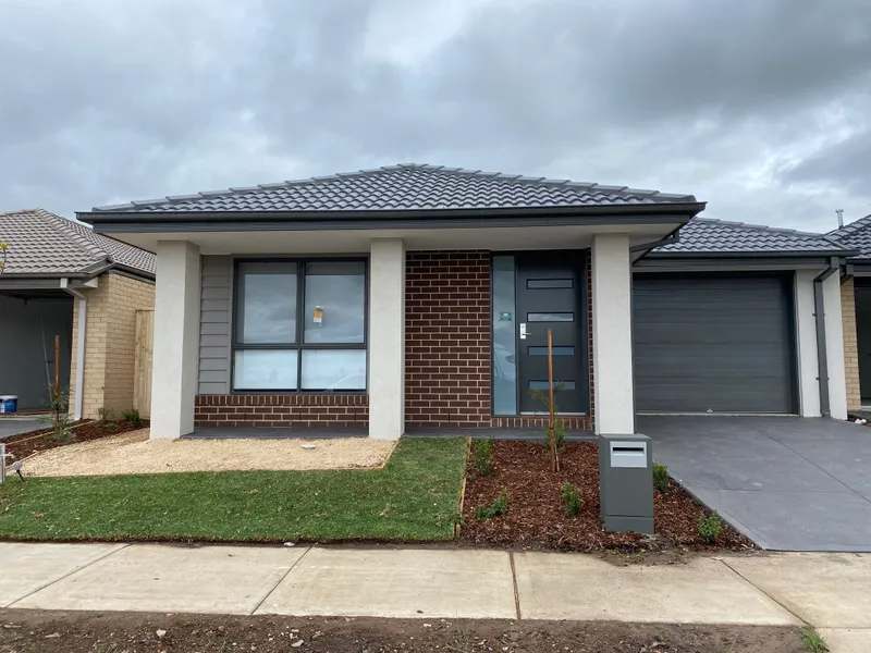 ORCHARD ESTATE STUNNER