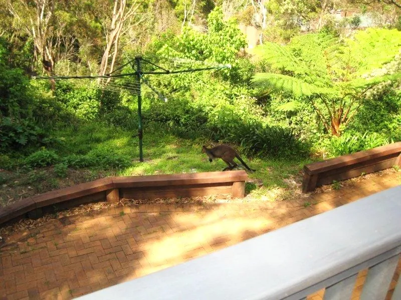 Private large studio, tranquil bush setting, furnished, pet friendly