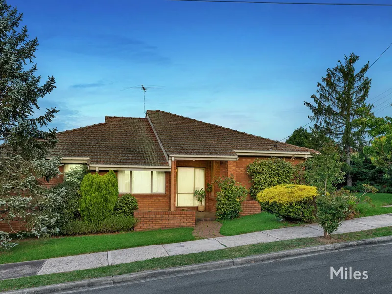 Quiet College Zone Opportunity Near Parklands