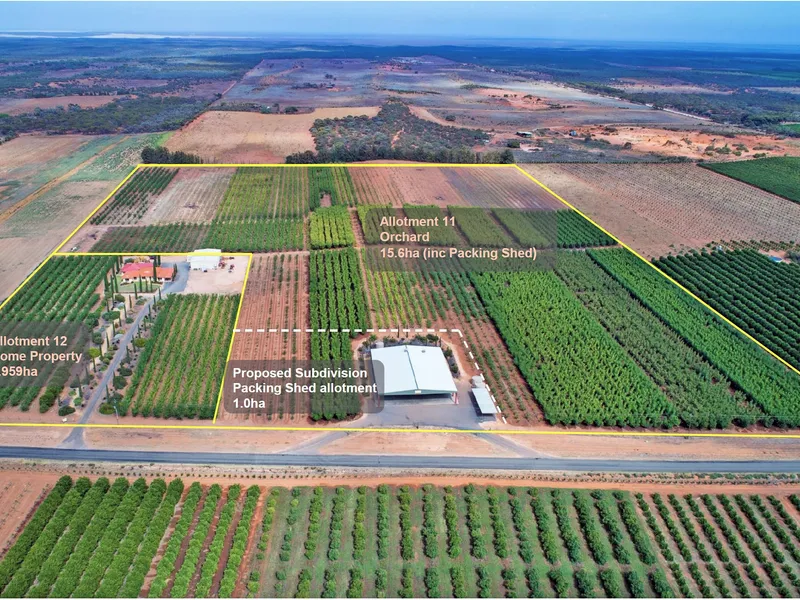 Apricot Grove � An Exceptional Business Enterprise