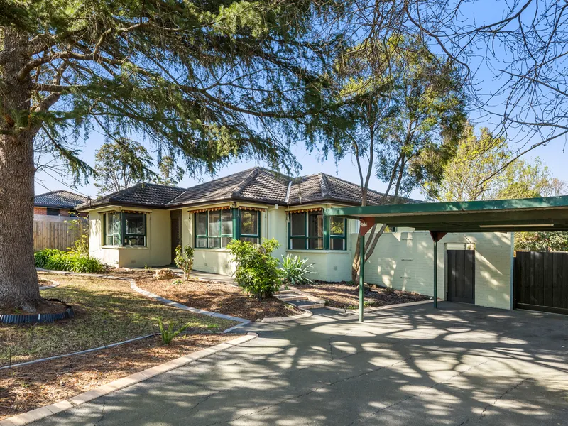 Bright and Fresh, with an Extensive Yard!